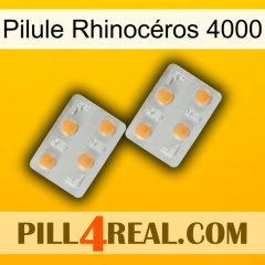 Pilule Rhinocéros 4000 25